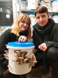 Zwei Frauen, vor ihnen ein Eimer, aus dem Pilze wachsen Zwei Frauen, vor ihnen ein Eimer, aus dem Pilze wachsen