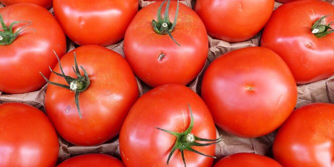 Leicht angeditschte Biotomaten in Nahaufnahme.