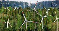 Eine Fotomontage zeigt Windräder, die aus einem Wald ragen