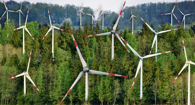 Eine Fotomontage zeigt Windräder, die aus einem Wald ragen