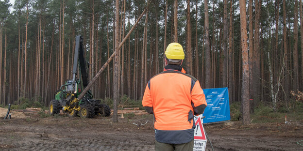 Arbeiter stehen vor einem Wald und fällen bäume