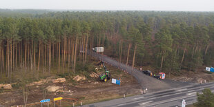 Ein Holzvollernter in Grünheide fällt Bäume