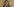 Ölgemälde eines blonden Mädchens mit geflochtenen Zöpfen, insgesamt ein sehr okkerfarbenes Bild