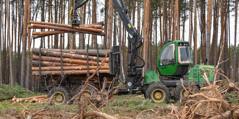 Fahrzeuge mit Baumstämmen im Kran: Donnerstag hat die Rodung im Tesla-Wald begonnen