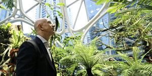 Jeff Bezos in einem Palmengarten.