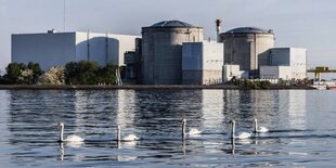 Das Französische Atomkraftwerk Fessenheim mit Schwänen im Vordergrund.