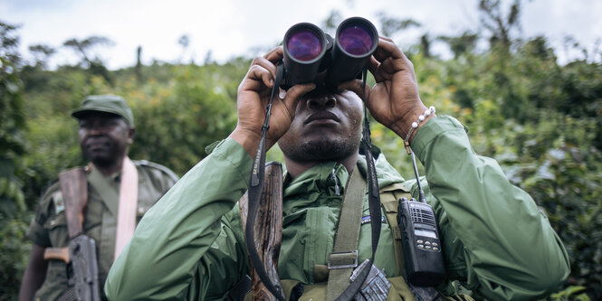 Ein Park-Ranger guckt durch ein Fernglas.