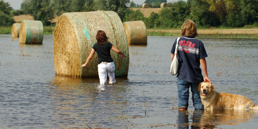 Zwei Kinder stehen mit einem Hund im Wasser. Eines versucht einen Strohballen zu bewegen.