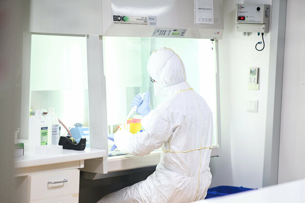 In einem Labor werden Proben zum Coronavirus untersucht.
