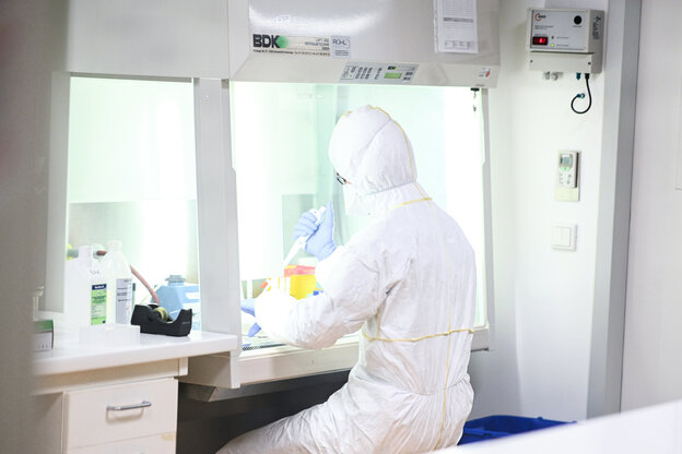 In einem Labor werden Proben zum Coronavirus untersucht. In einem Labor werden Proben zum Coronavirus untersucht.