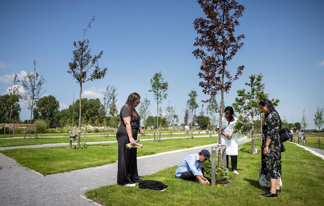 Vier Menschen kümmern sich um einen Baum