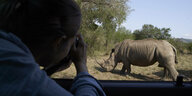 Ein Mensch von hinten. Er macht gerade aus einem Auto heraus ein Foto von einem Nashorn.
