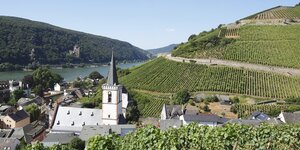 Eine Kirche, ein WEinberg und der Rhein
