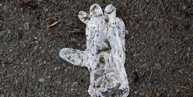 Ein wießer Plastikhandschuh liegt auf Asphalt