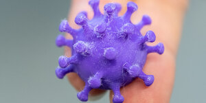 Modell eines Coronavirus