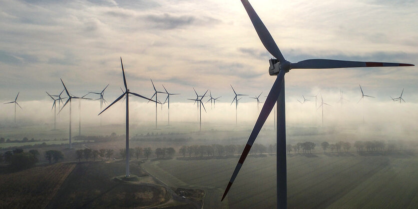 Windräder im Morgennebel