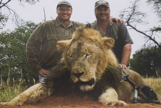 Zwei Männer stehen hinter dem toten Löwn Cecil