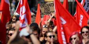 Eine Demonstration: Rote Fahnen und ein Transparent gegen die AfD, das Hass als ekelhAfD bezeichnet