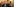 Richard Burr, ein Mann mit grauen Haaren und Brille, spricht mit Reportern