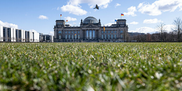 Leere Wiese vor dem Reichstag in Berlin.