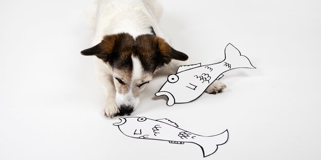 Ein Hund spielt mit gezeichneten Fischen