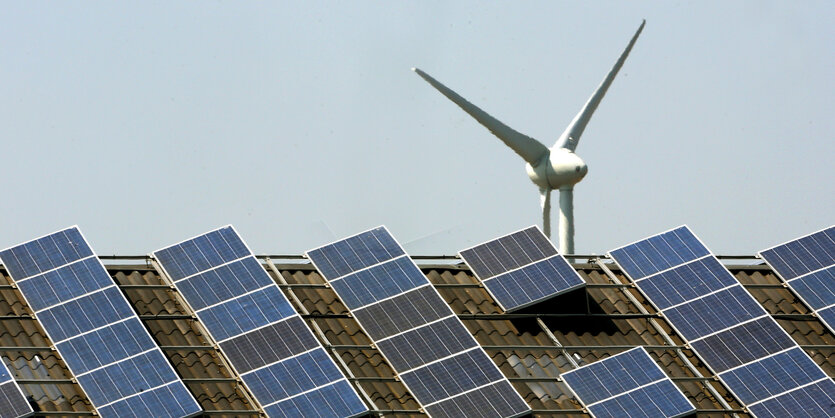 Eine Fläche voller Solar-Panels, im Hintergrund ein Windrad