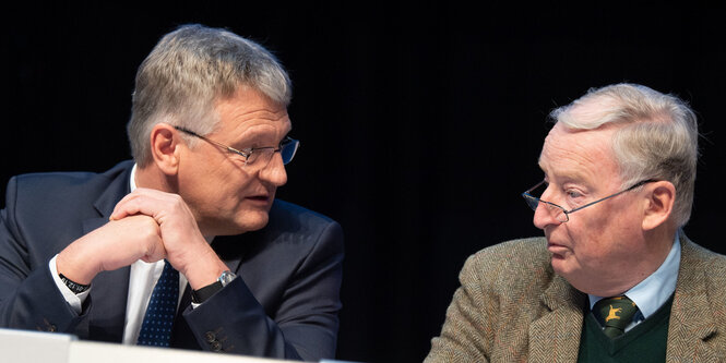 Jörg Meuthen guckt zu Alexander Gauland