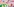 Bluttests