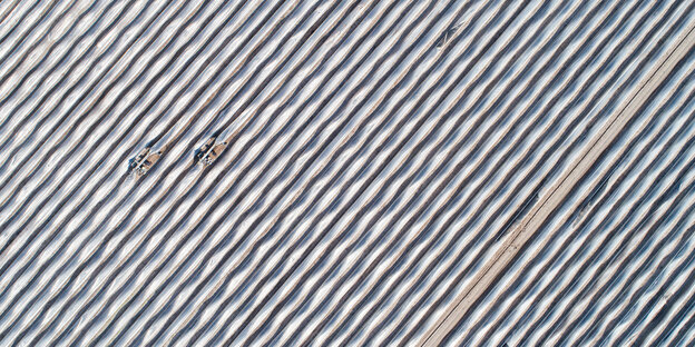 Luftaufnahme von einem Spargelfeld, zwei Arbeiter sind zu sehen