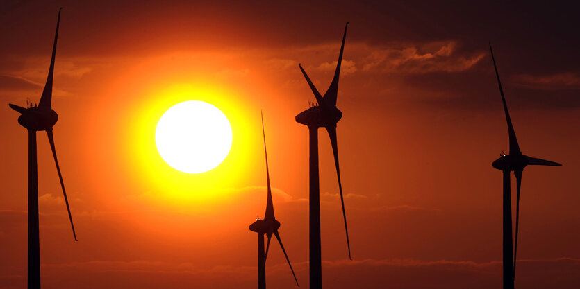 Windkraftanlagen vor untergehender Sonne