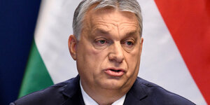 Potrait von Victir Orban vor der ungarischen Fahne