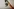eine Discokugel hängt an einer Decke, im Hintergrund eine Lampionschlange