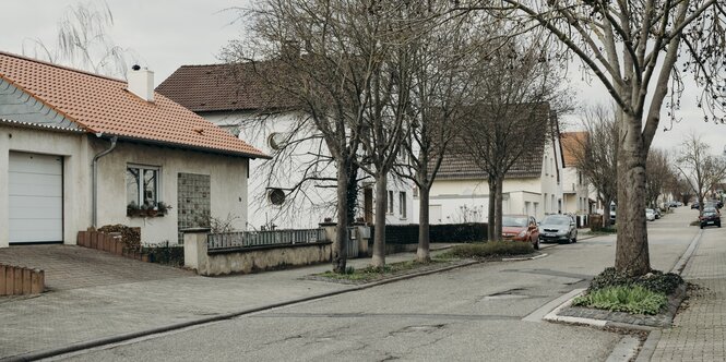 eine Straßeam Ortsrand mit Einfamilienhäusern