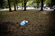 Ein Mensch in einem kleinen blauen Schlafsack auf einer großen Wiese in einem Park