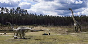 Nachbildungen von Dinosauriern stehen auf einem Feld