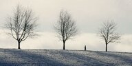 Einsamer Spaziergänger auf schneebedecktem Hügel, mit drei Bäumen