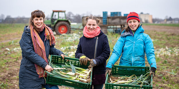 Drei Frauen mit Gemüsekisten stehen auf einem Feld