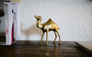 Ein Regal mit Büchern und einem Kamel aus Metall - es soll ein Briefbeschwerer sein Ein Regal mit Büchern und einem Kamel aus Metall - es soll ein Briefbeschwerer sein