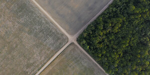 Eine Luftaufnahme von Sojafeldern, die an Regenwald angrenzen