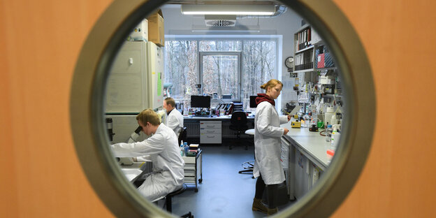 Blick in ein Laor in dem zwei ForscherInnen in weißen Laborkitteln arbeiten