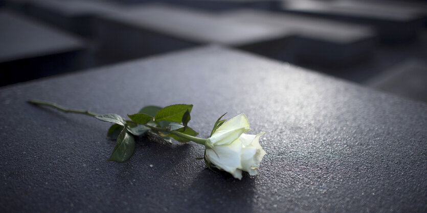 Eine Stehle des Holocaust-Mahnmals in Berlin von oben. Darauf liegt eine einzelne weiße Rose.