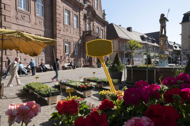 Sandsteinhäuser und ein Marktplatz ,Blumenstand