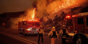 Ein brennender Wald, davor Feuerwehrfahrzeuge und Feuerwehrmänner.