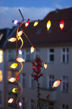 Eine Lichterkette, gemacht aus kleinen Fischen, im Hintergrund ein Haus Eine Lichterkette, gemacht aus kleinen Fischen, im Hintergrund ein Haus