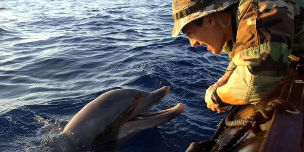 Ein Soldat und ein Delfin schauen sich an.
