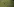 Sonnenhungrige halten Abstand auf einer Wiese in einem Berliner Park
