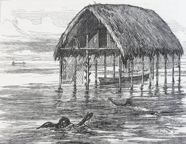 Illustration eines Bootshauses auf Stelzen im Wasser, davor ein Schwimmer