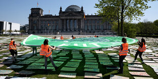 Fridays for Future Aktion vor dem Reichstag in Berlin