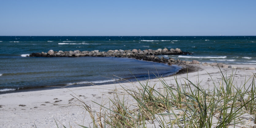 flache sandige Bucht, Strandhafer im Vordergrung