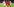 drei Spieler von Bayern München und RBB Leipzig